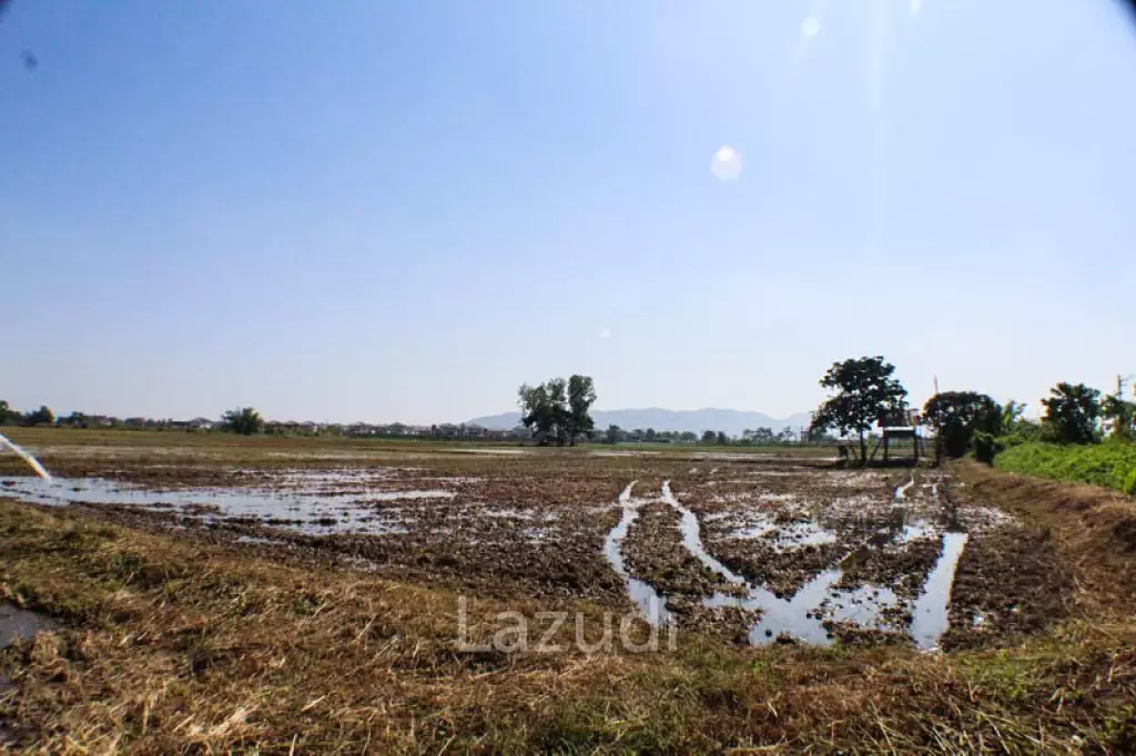 Land for Sale in Chiang Rai