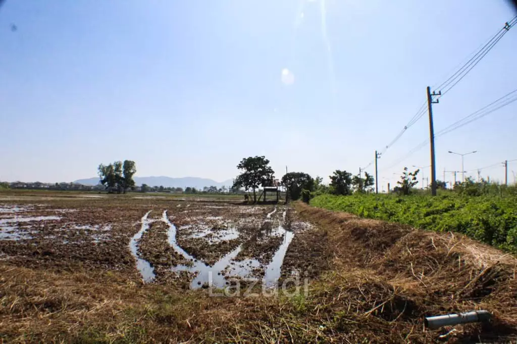 Land for Sale in Chiang Rai