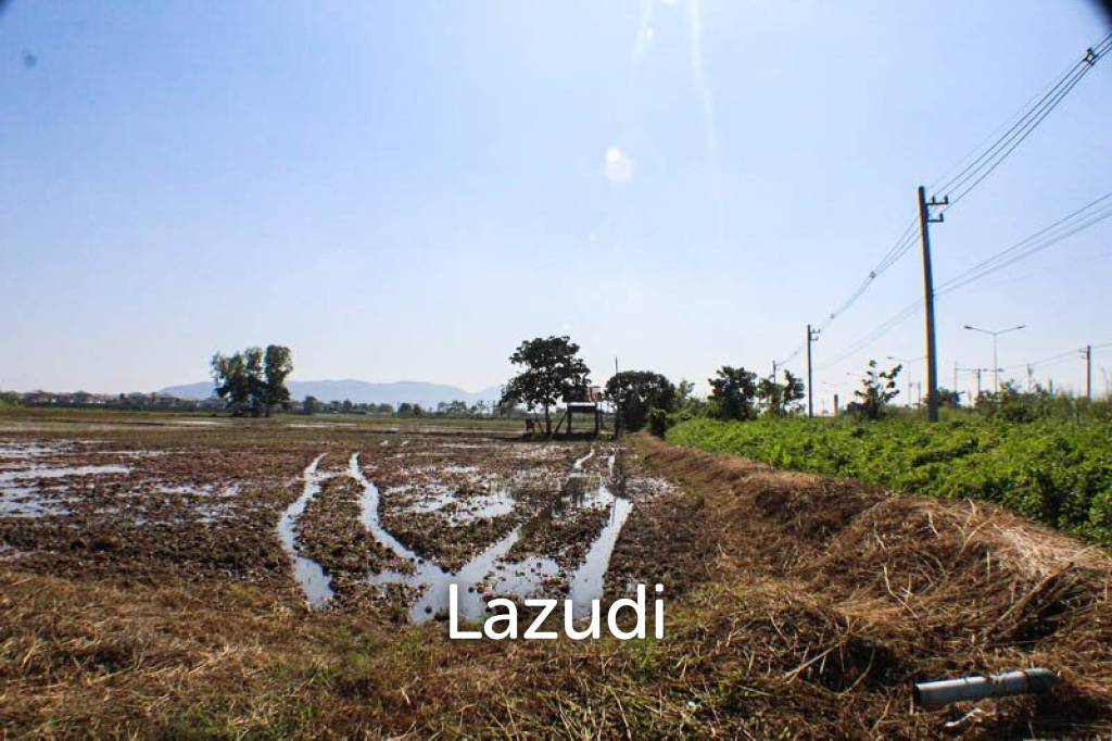 Land for Sale in Chiang Rai