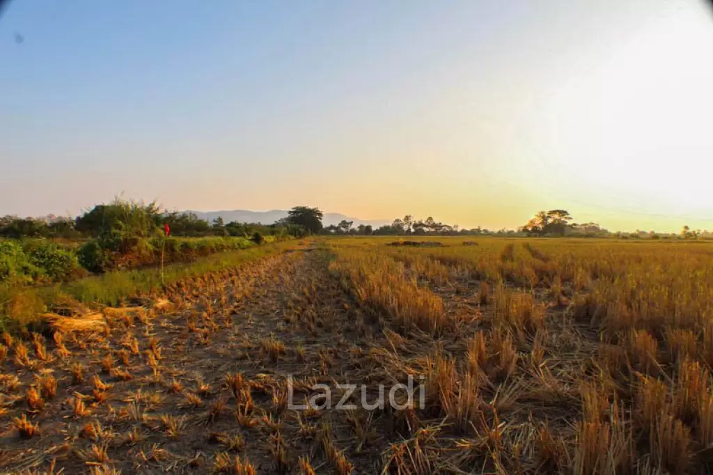 Land for Sale 112 Rai