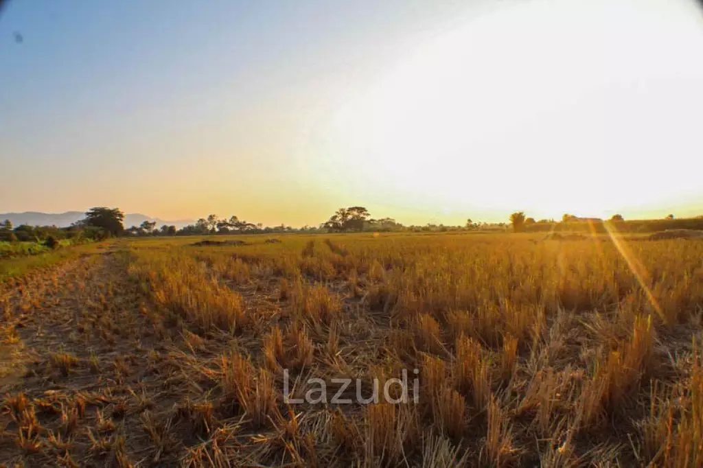 Land for Sale 112 Rai
