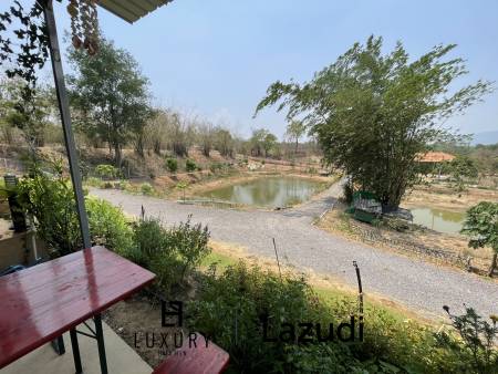 Pool villa on an impressively 6 Rai land plot and Fish Ponds