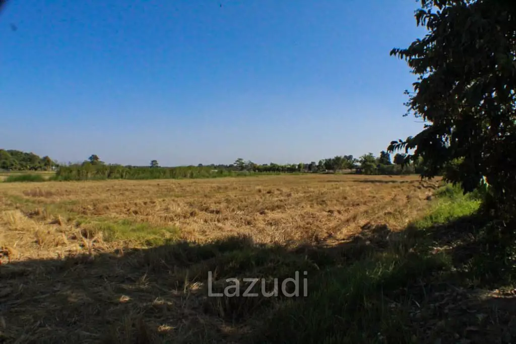Land for Sale in Chiang Rai