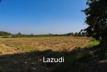 Land for Sale in Chiang Rai