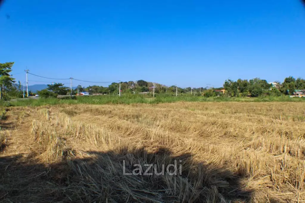 Land for Sale in Chiang Rai