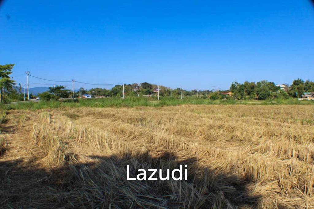 Land for Sale in Chiang Rai