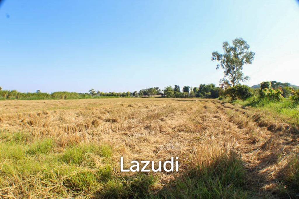 Land for Sale in Chiang Rai