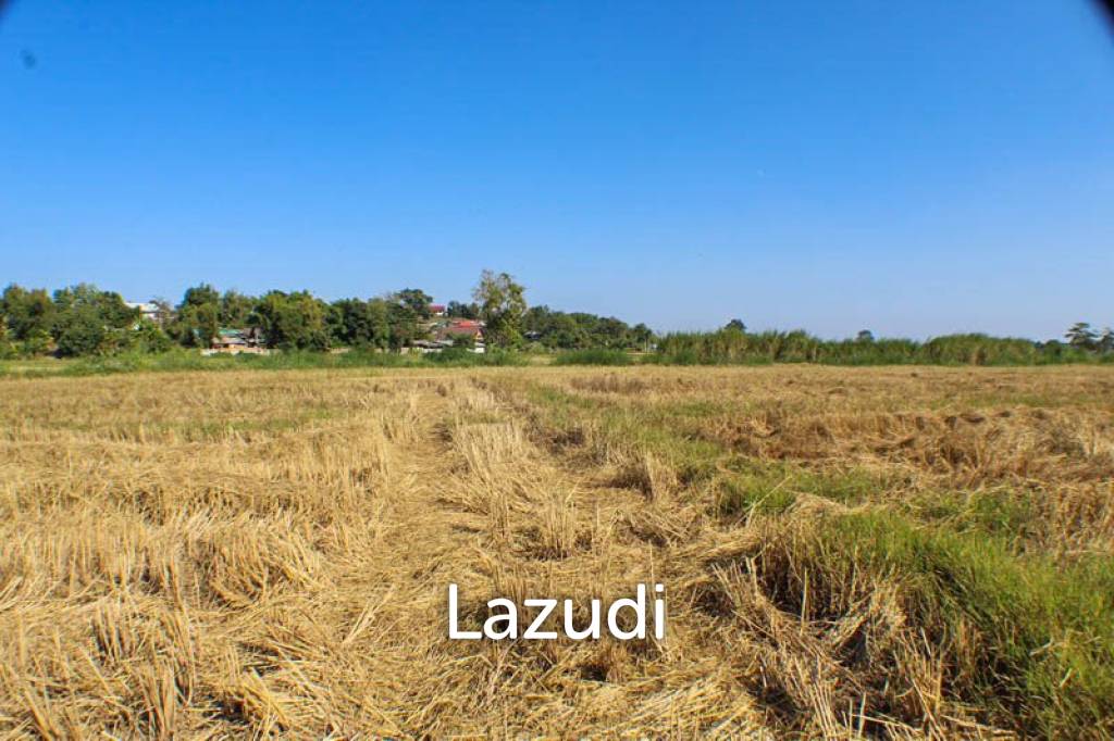 Land for Sale in Chiang Rai