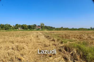 Land for Sale in Chiang Rai