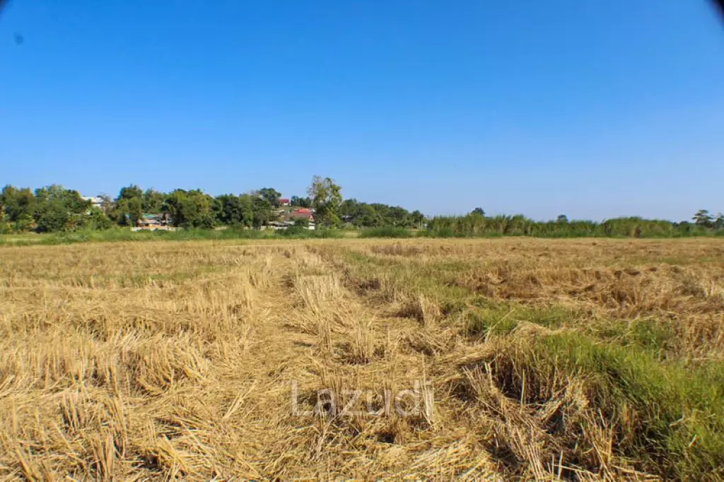 Land for Sale in Chiang Rai