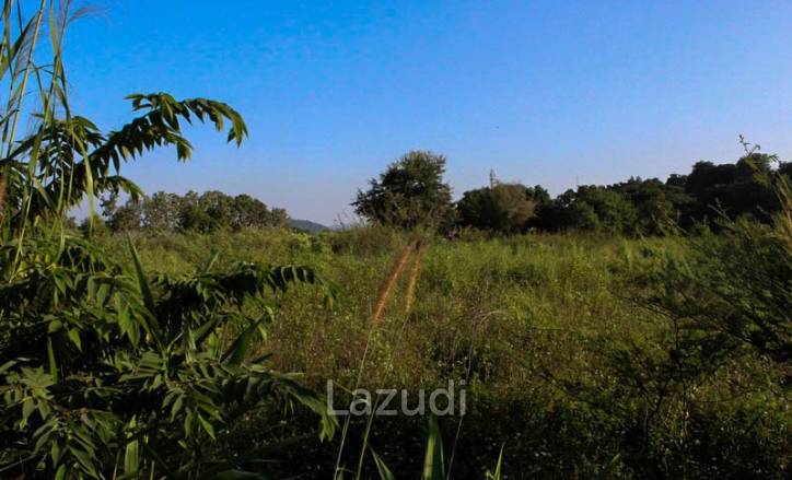 Land for Sale Nong Daan