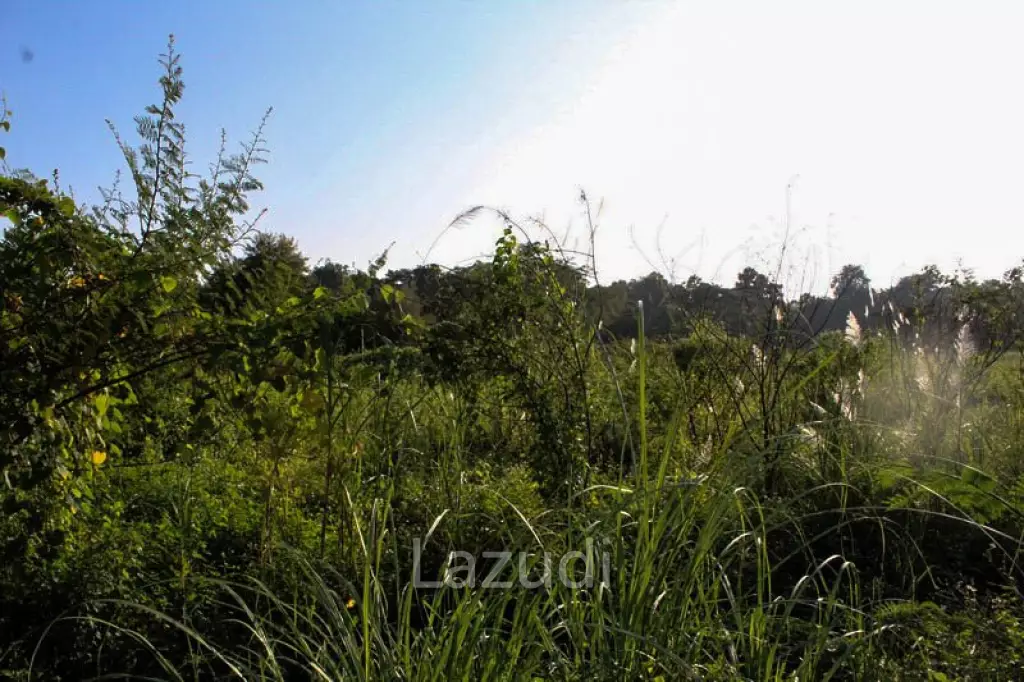 Land for Sale Nong Daan