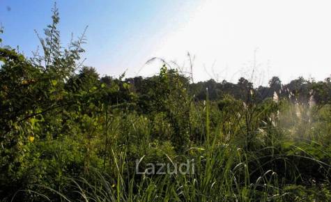 Land for Sale Nong Daan