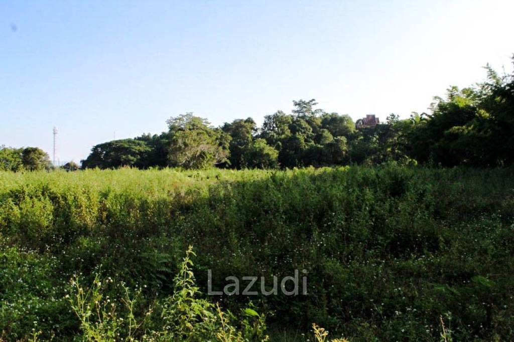 Land for Sale Nong Daan