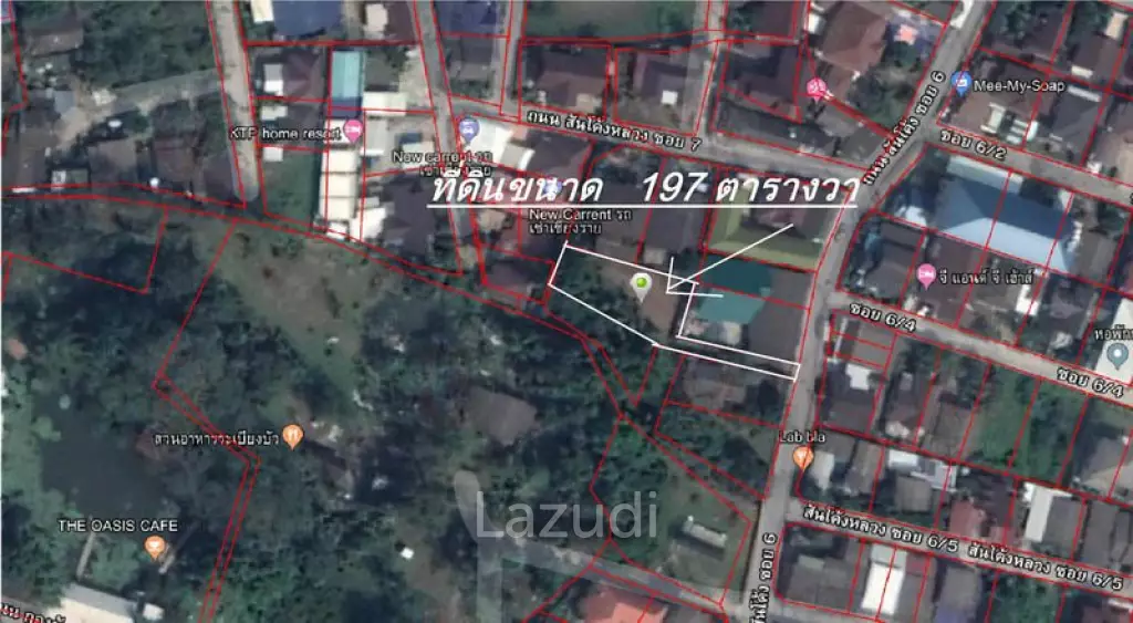 Land for Sale in Chiang Rai