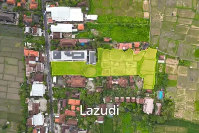 EXPANSIVE LAND WITH RICE FIELD VIEW IN UBUD