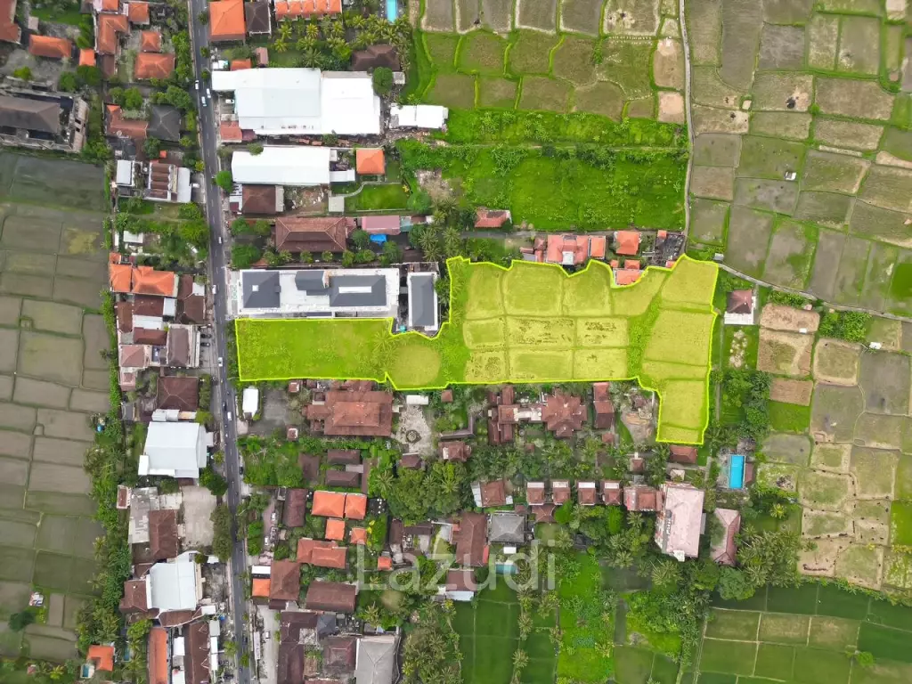 EXPANSIVE LAND WITH RICE FIELD VIEW IN UBUD