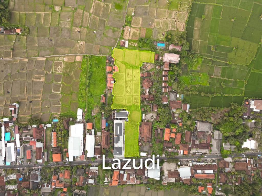 EXPANSIVE LAND WITH RICE FIELD VIEW IN UBUD