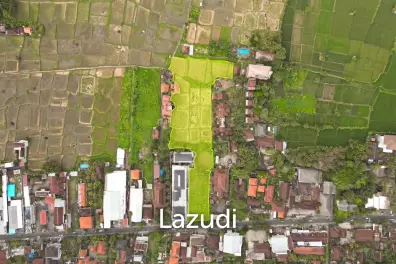 EXPANSIVE LAND WITH RICE FIELD VIEW IN UBUD