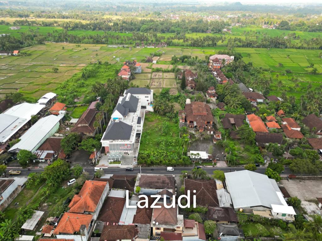 EXPANSIVE LAND WITH RICE FIELD VIEW IN UBUD