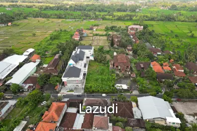 EXPANSIVE LAND WITH RICE FIELD VIEW IN UBUD