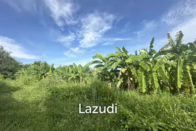 9 Rai 3 Ngan 44 SQ.WA ( 14,876 SQ.M.) Land in Bang Saray