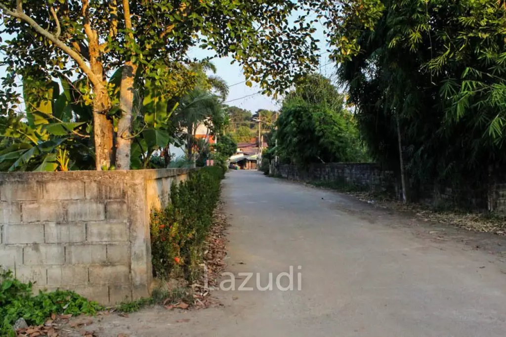Land for Sale in Chiang Rai