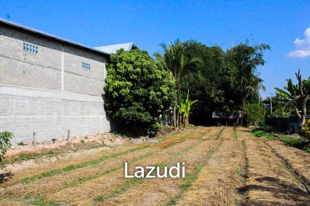 Land for Sale in Wiang Chai