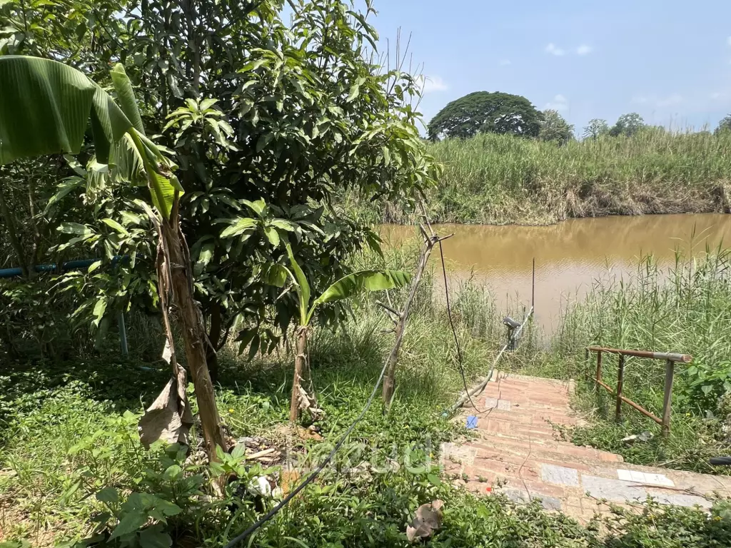 ขายบ้าน 2 ห้องนอนวิวภูเขา 180° พร้อมที่ดิน 4 ไร่