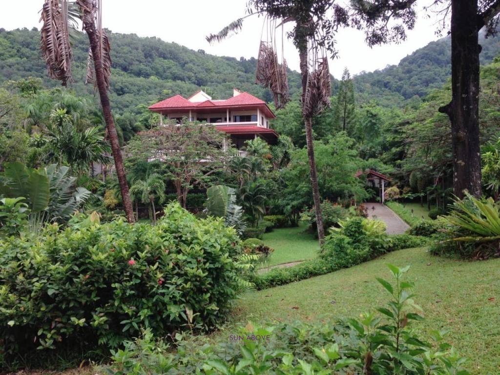 A Property Of  6,196 Square Meters with 2 Houses Near  Karon Beach