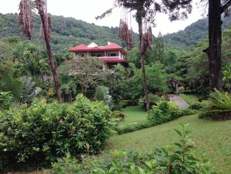 A Property Of  6,196 Square Meters with 2 Houses Near  Karon Beach