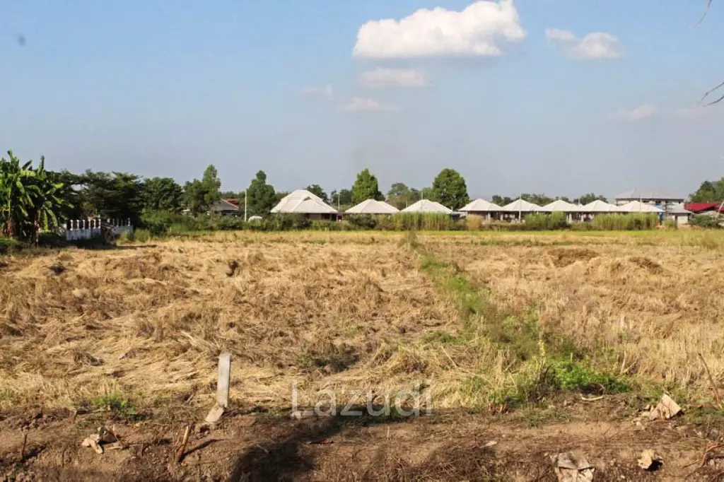 Land for Sale in Ban Farm