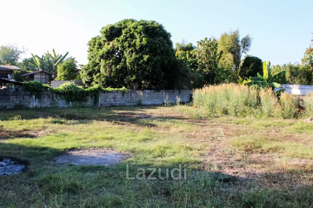 Land For Sale In Mae Yao