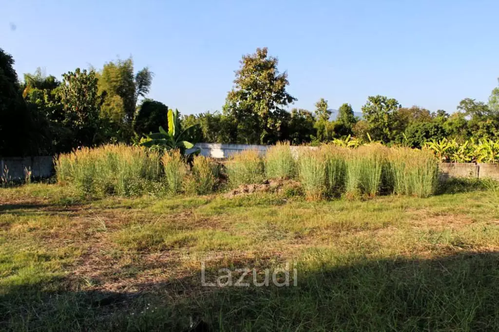 Land For Sale In Mae Yao