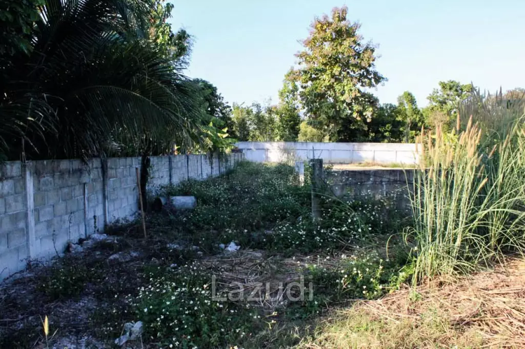 Land For Sale In Mae Yao