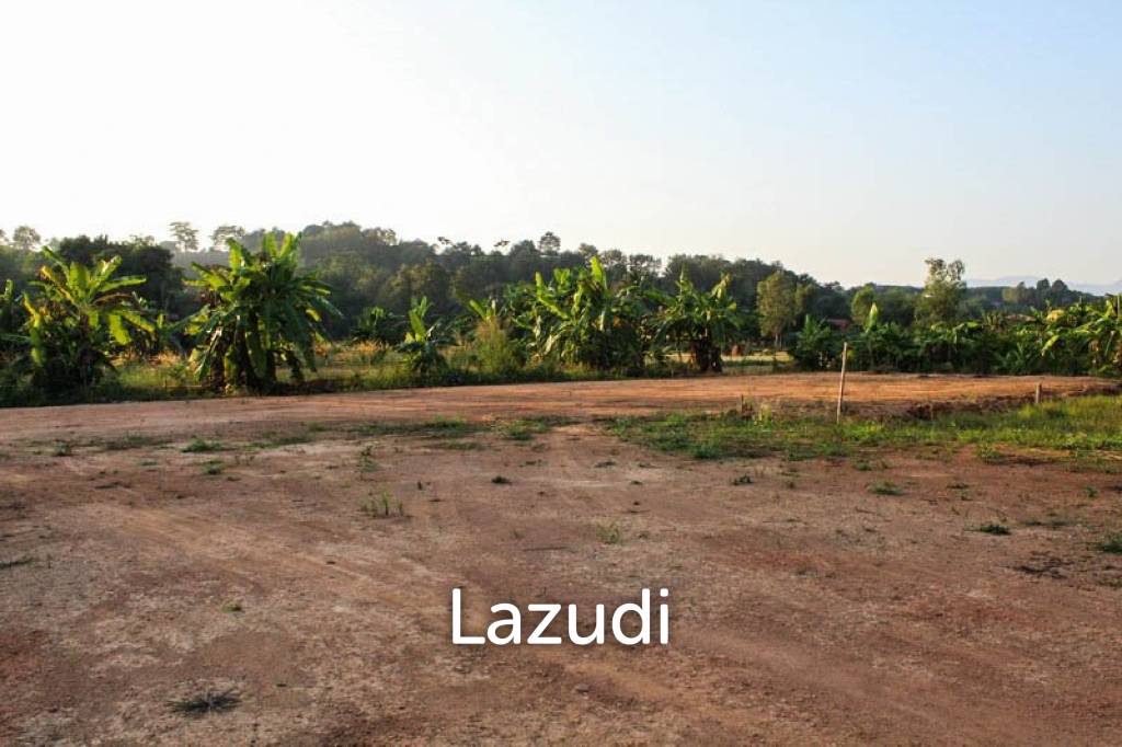 Sale Land In Chiang Rai