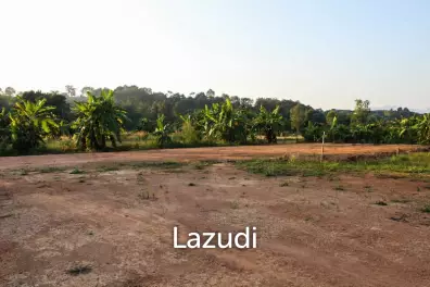 Sale Land In Chiang Rai