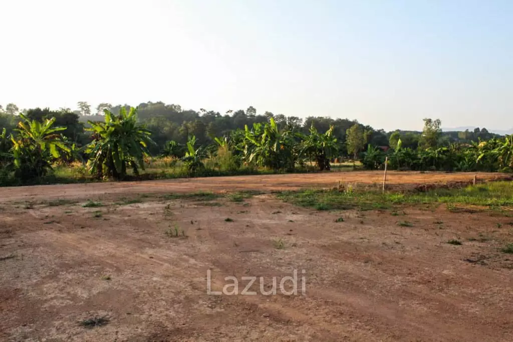 Sale Land In Chiang Rai