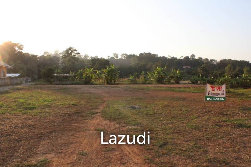 Sale Land In Chiang Rai
