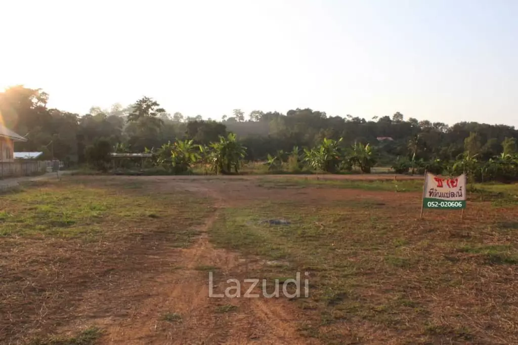 Sale Land In Chiang Rai