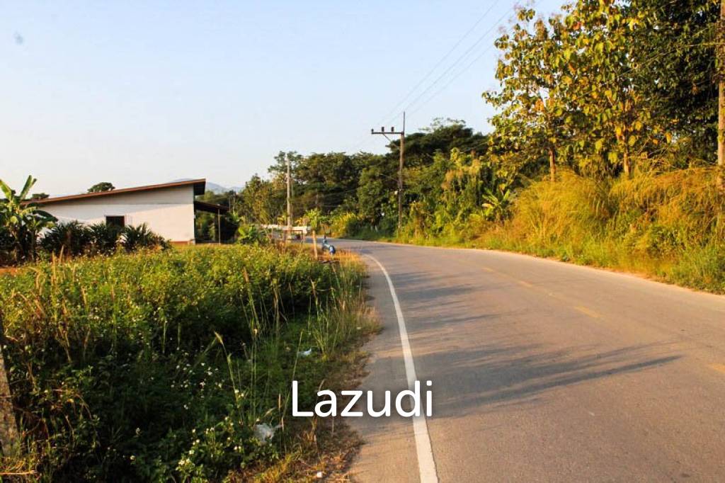 Sale Land In Chiang Rai