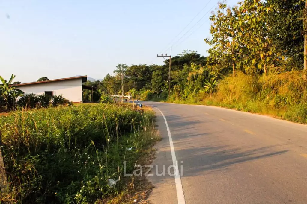 Sale Land In Chiang Rai
