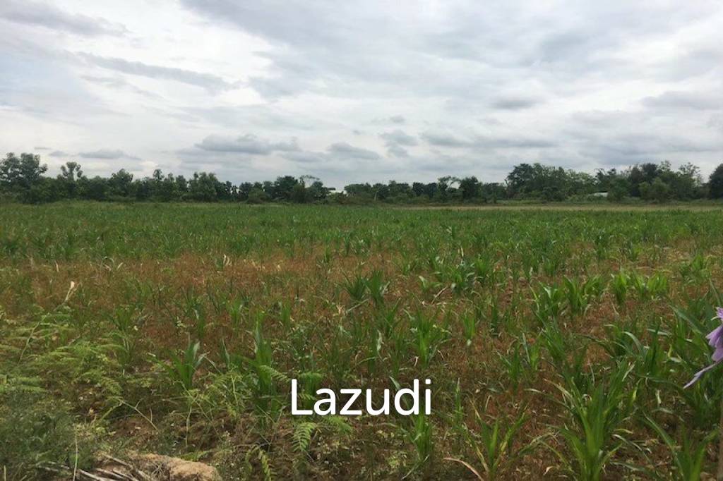 Good Location 4 Rai of Land in Mae Sai