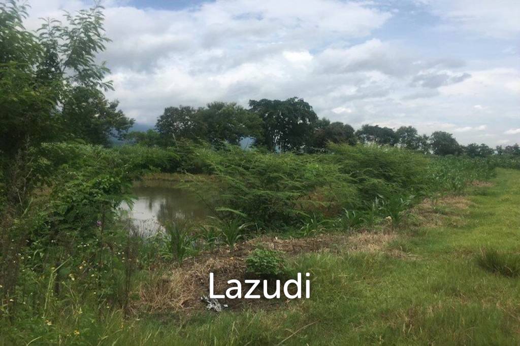 Good Location 4 Rai of Land in Mae Sai