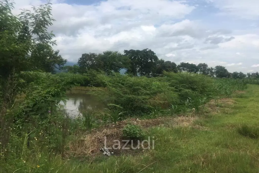 Good Location 4 Rai of Land in Mae Sai