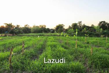 Land for Sale in Chiang Rai