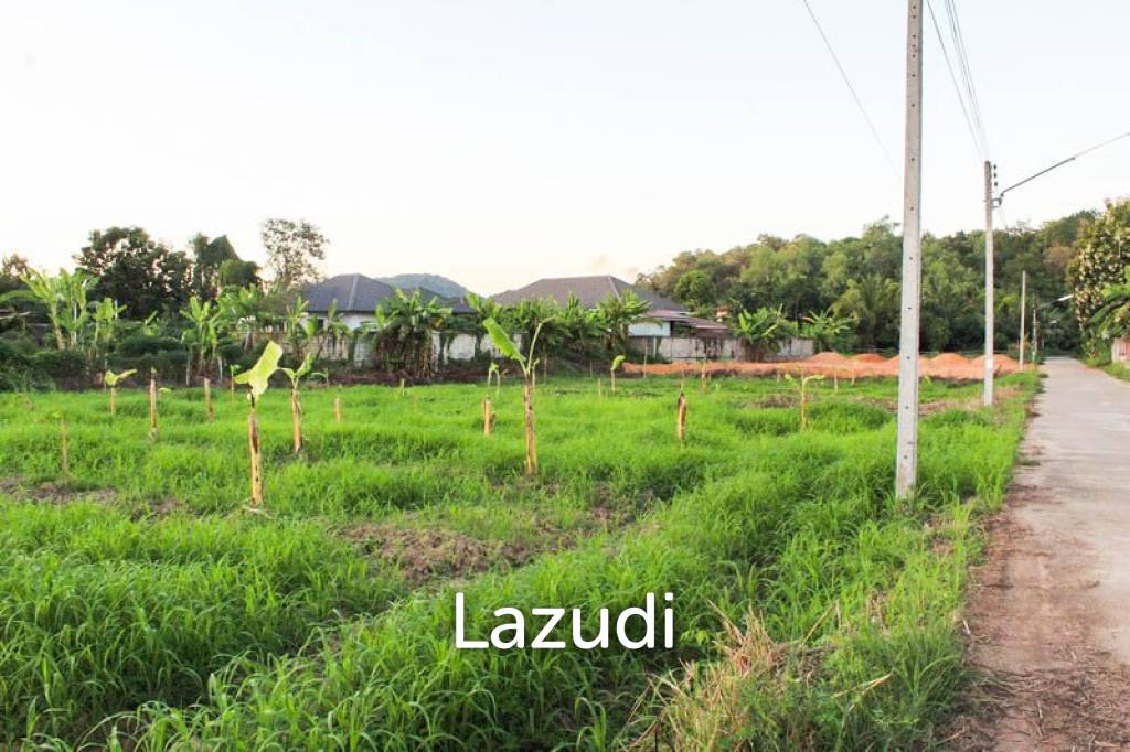 Land for Sale in Chiang Rai