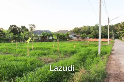 Land for Sale in Chiang Rai