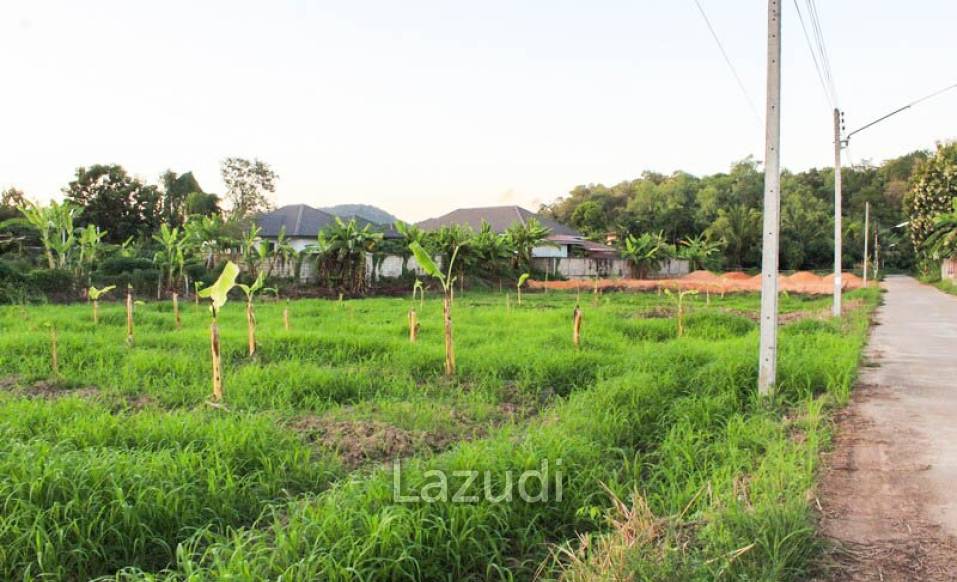 Land for Sale in Chiang Rai