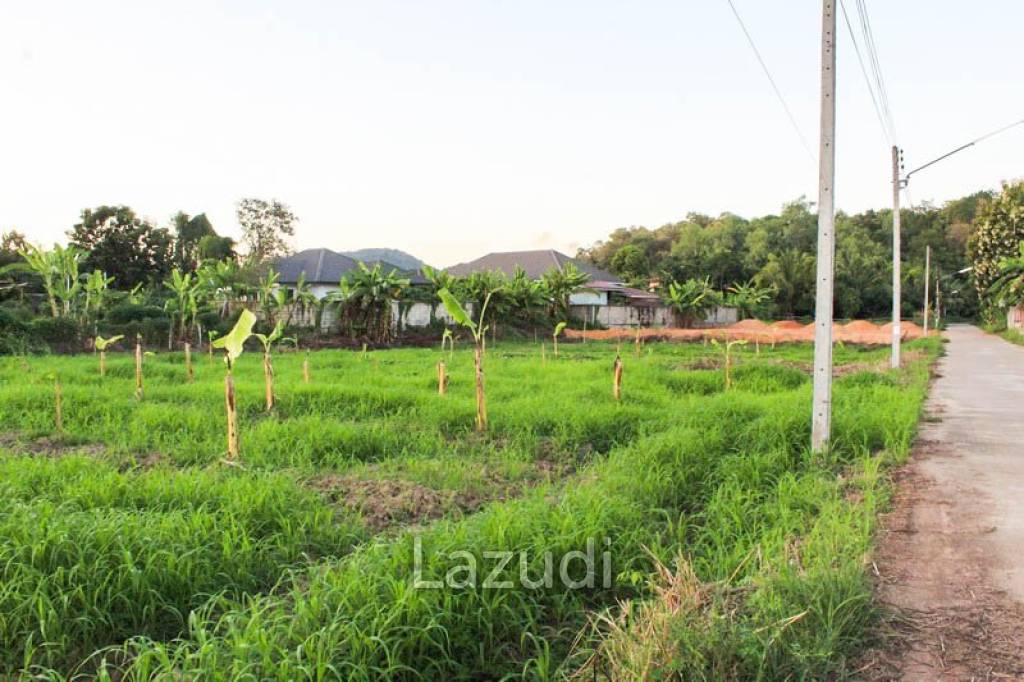 Land for Sale in Chiang Rai